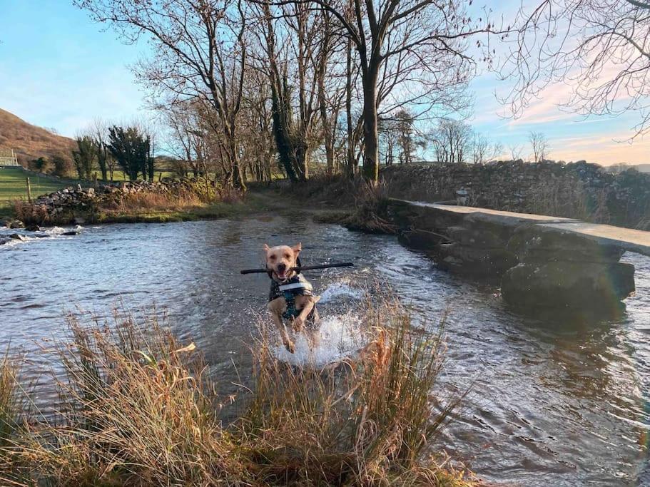 Charming Dog-Friendly Yorkshire Dales Cottage, 오스트윅 외부 사진