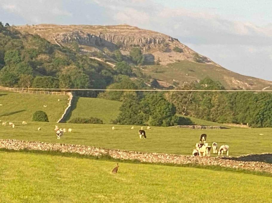 Charming Dog-Friendly Yorkshire Dales Cottage, 오스트윅 외부 사진